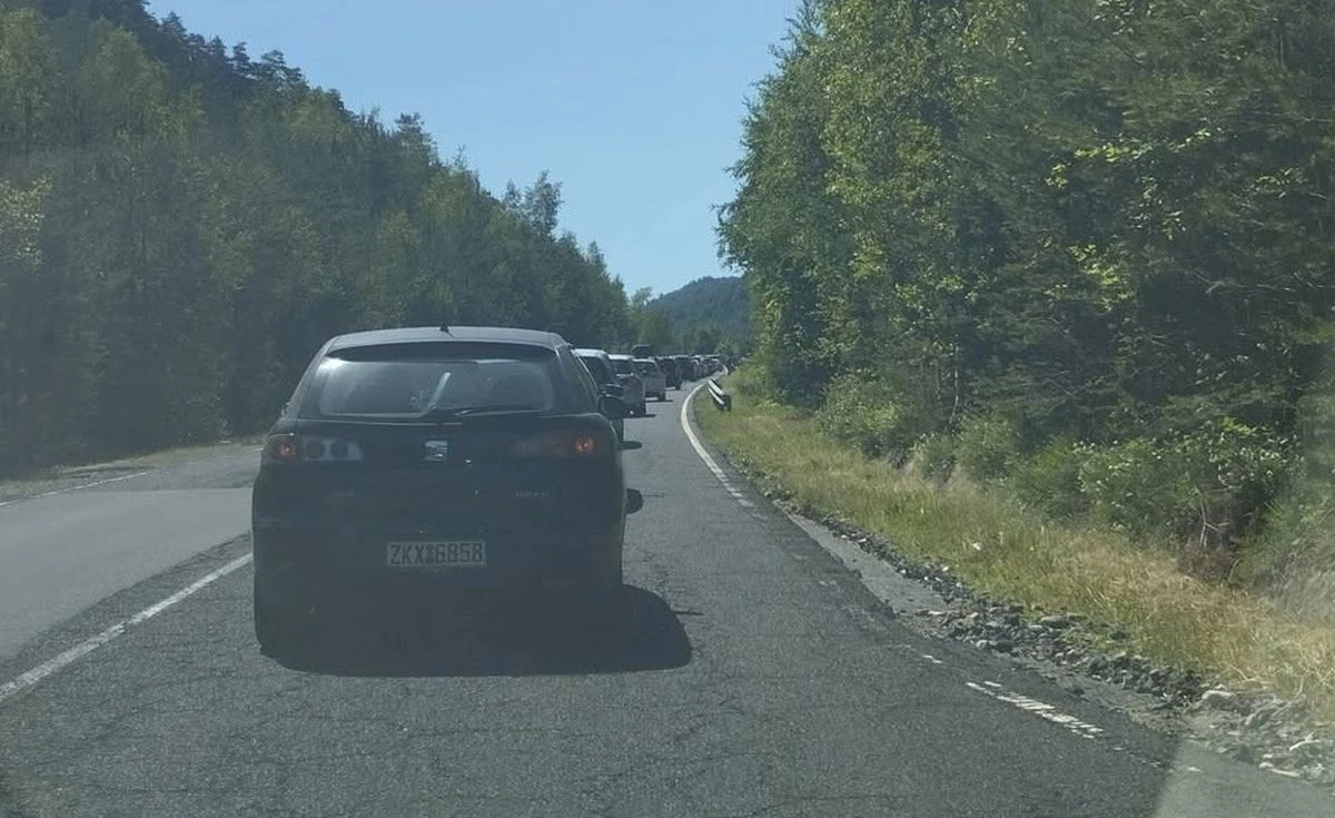 Васил Динев