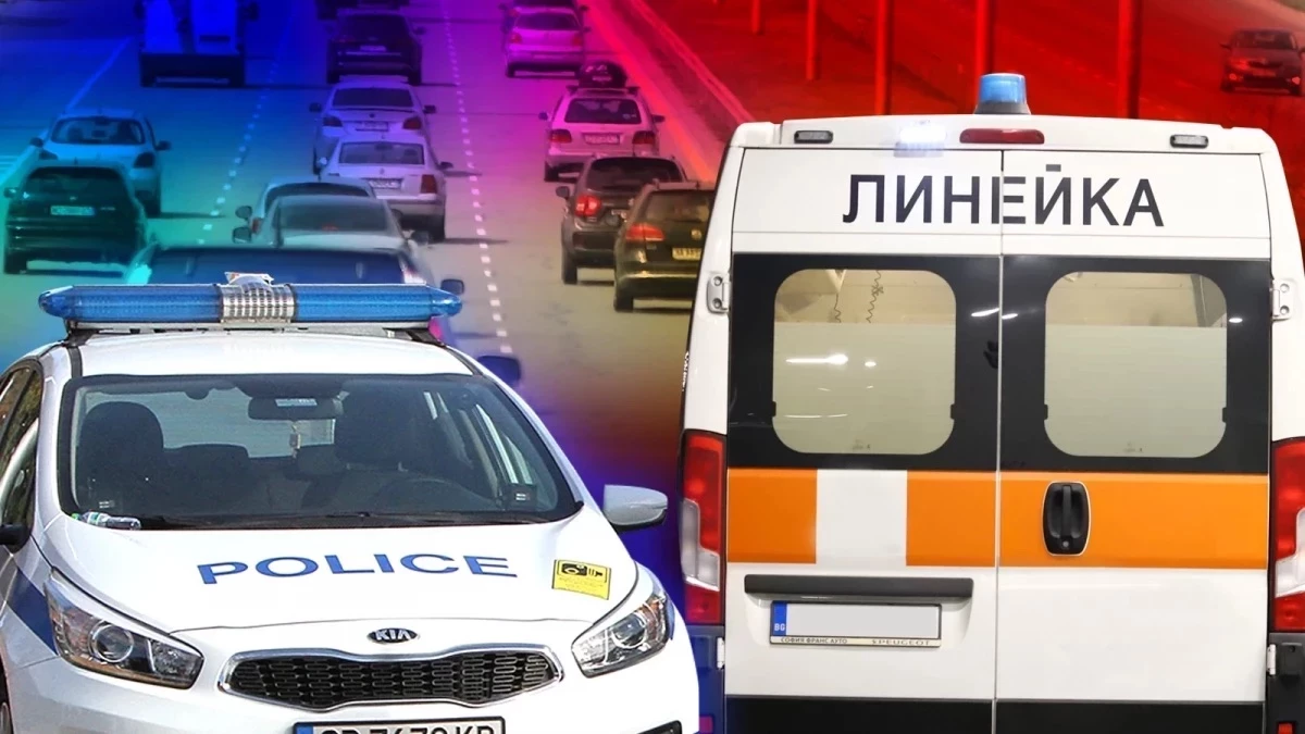 МВР с първи подробности за жестоката катастрофа край Асеновг...