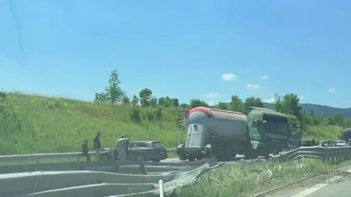 Тапата край София е огромна